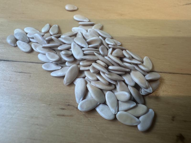 金俵まくわうり