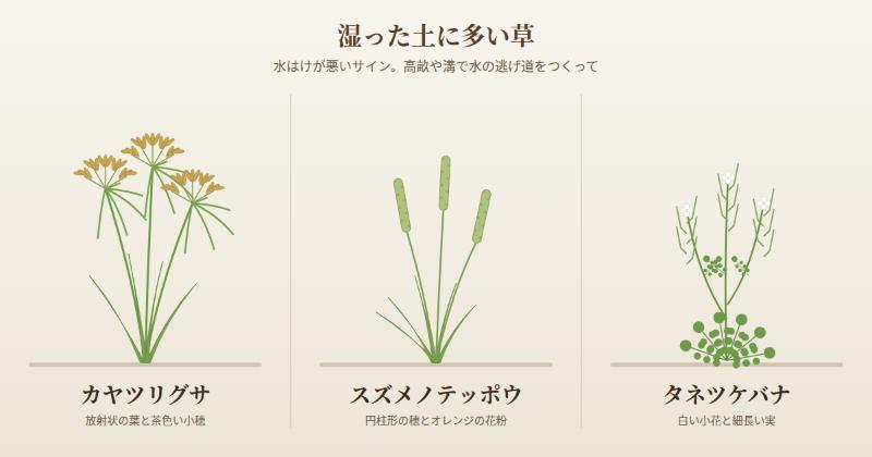 湿った土に多い草