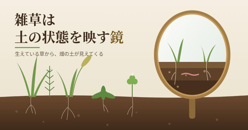 雑草は土の状態を映す鏡